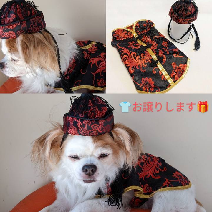 926ee433 3c26 4dc3 8f6b 05efeb62ba81 1701526940790