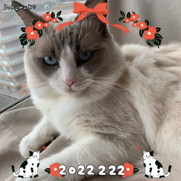 926ee555 a894 46ab a951 b199f65132af 1645496962204