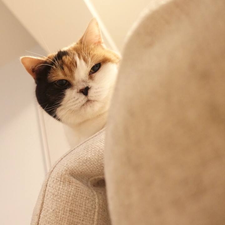 926f1395 851d 49ac 8da8 20b1310e75e3 1514521739373