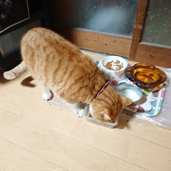 926f14da b474 41c8 904f cc44731520b8 1607371181938