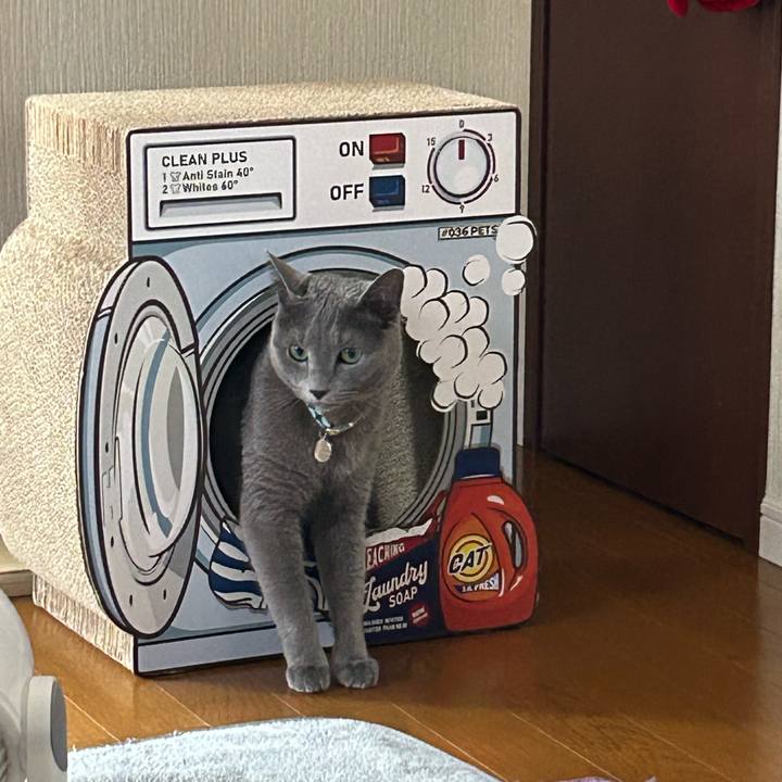 926f28c9 ed4f 4c99 abc7 2f55dedaab57 1685413828667