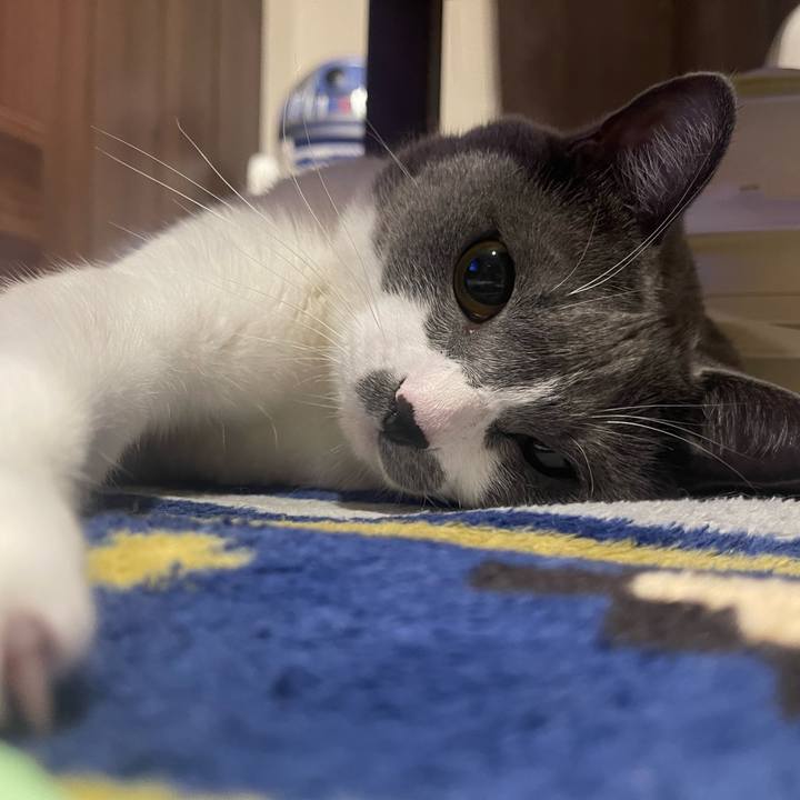 926f3cd9 9651 4970 92b1 c5e5848b2680 1664888070341