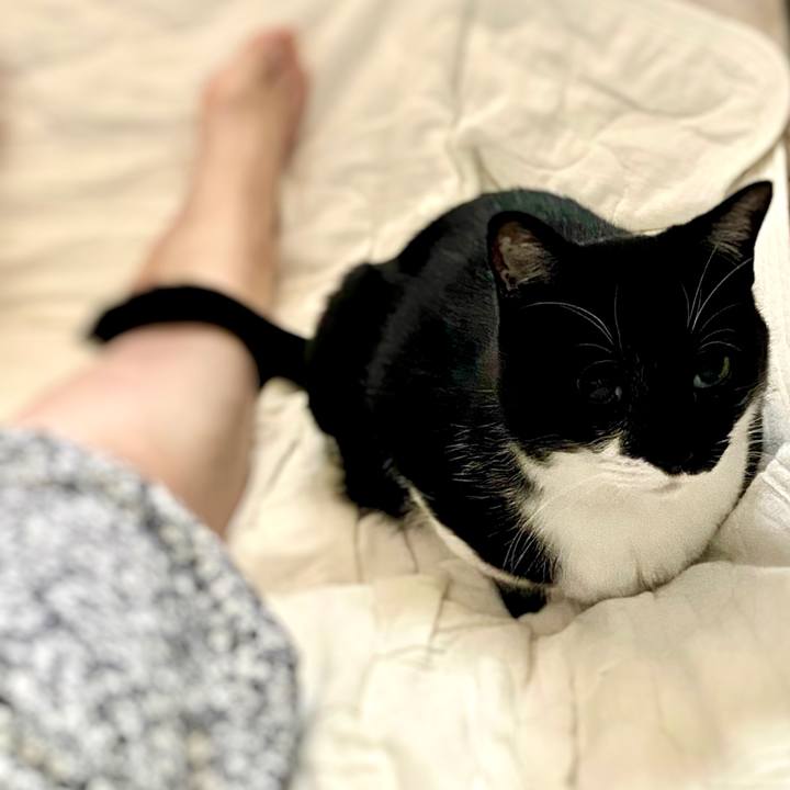 926fa25c f25e 4ba6 b8f7 fe98aee4b25f 1624877485780