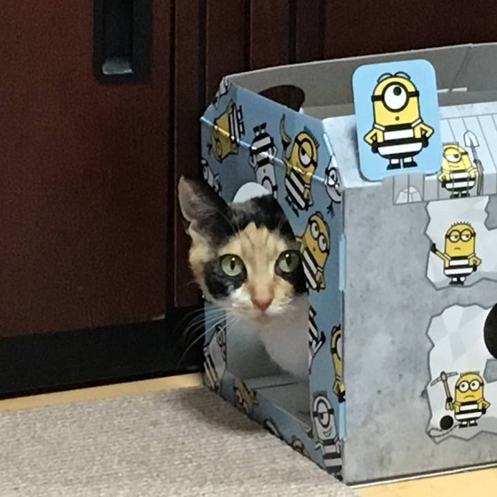 926fbb66 7ef9 4d8b 98aa 85581230dc66 1518948492779