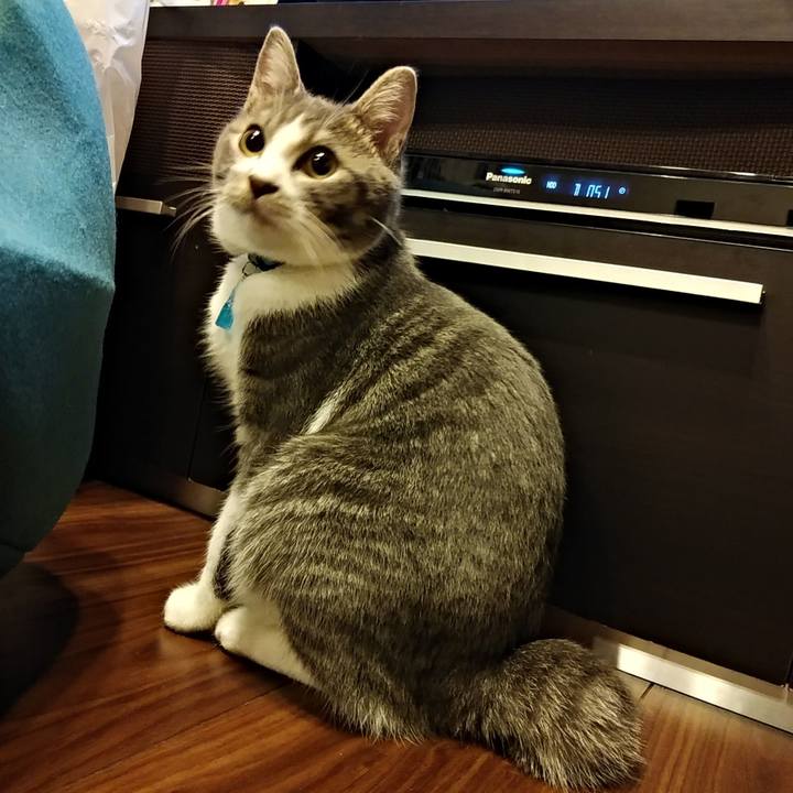 926fde0c e586 44d3 9bcf 9cfbf1f6334f 1573135622155