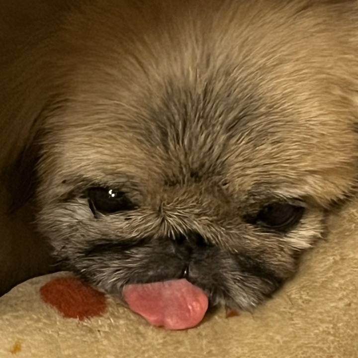 92701b65 f1ec 4a03 9bc0 b77fb3dd0db4 1738495264794