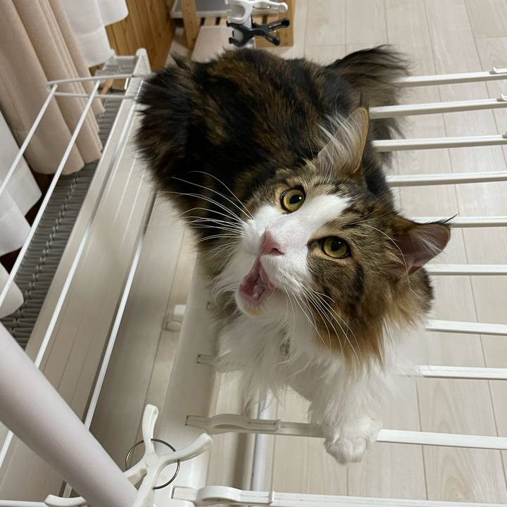 9270280a 2f0e 40d0 9b80 0edc5807e767 1647027991636