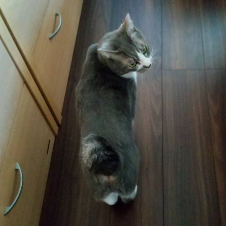 92704036 01df 4c89 814f e89ed0ea8f49 1614413226231