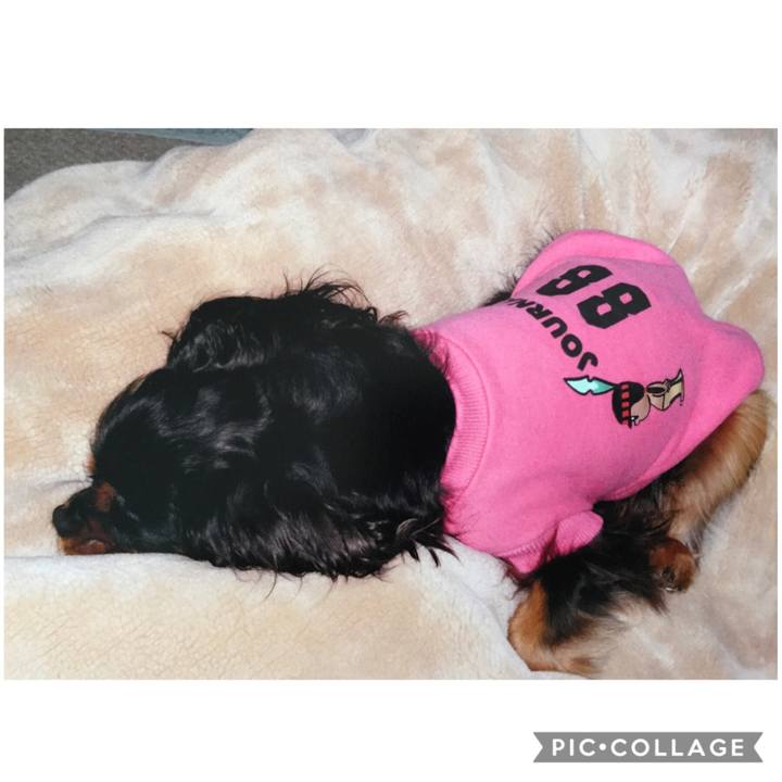 92705722 0ee4 4935 bc5f fa12922a50ef 1603200266293