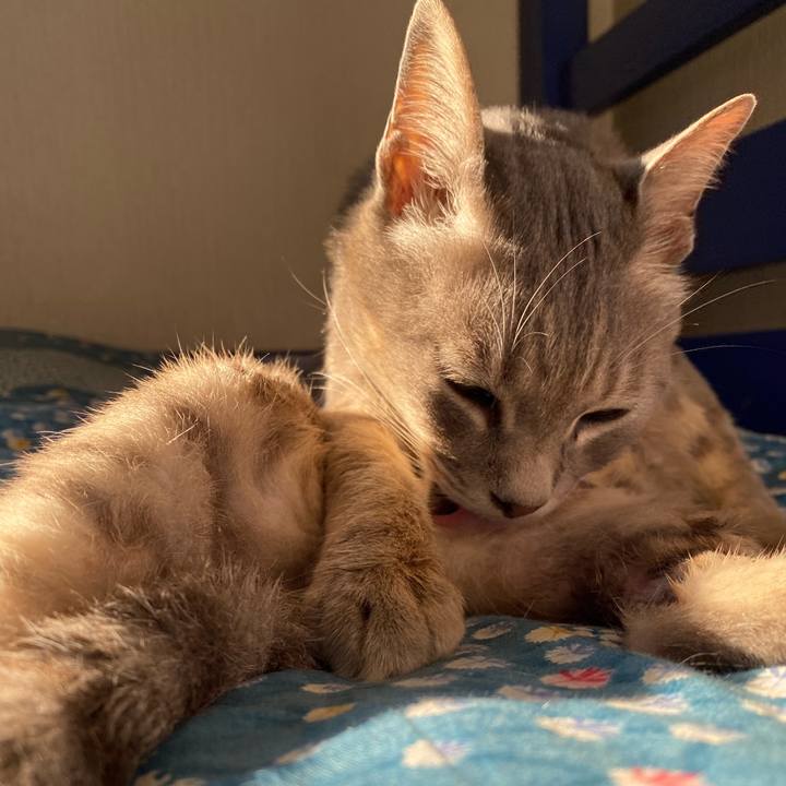 92706a3e fc5f 479b 8f33 52fce2696eb0 1595146773998