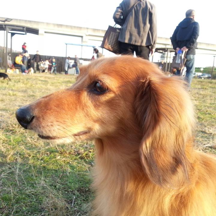 9270828b 64d9 4d0c 9170 7fad258193ad 1541920913475