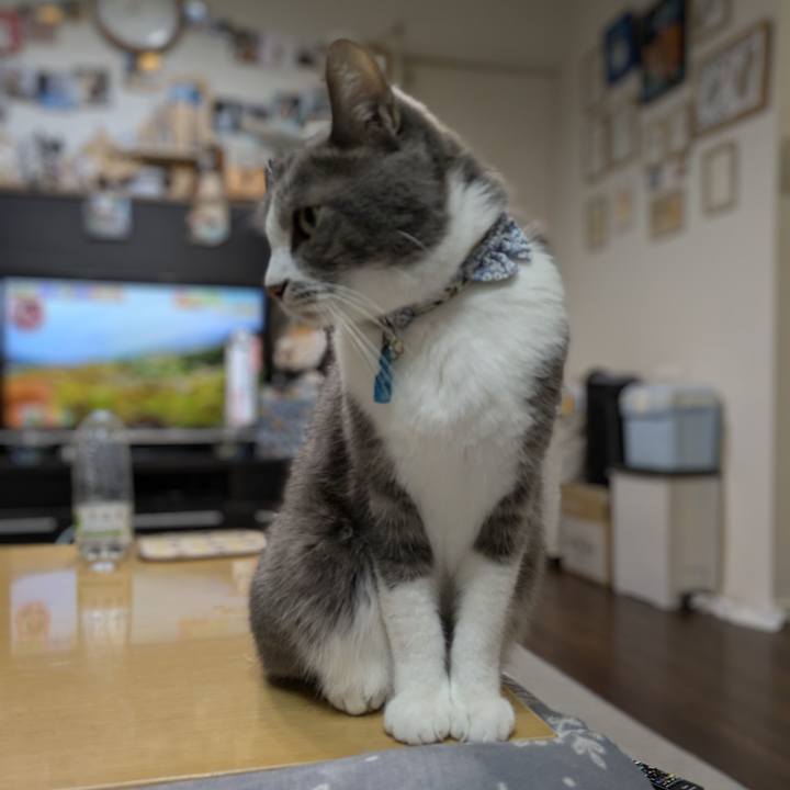 9270842c 685f 4d4e 885b 287dda23b9c9 1764932740001