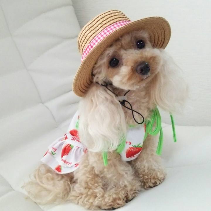 9270c5dd 30fa 42b2 8f7a dfda3bc64af4 1533186883525