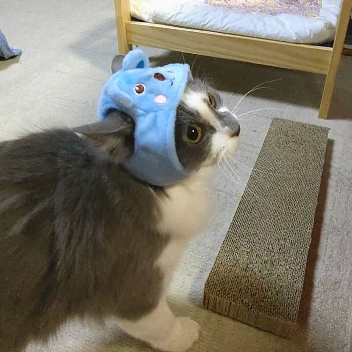 9270d3a7 3346 4a98 b1c9 880e78af196d 1576401778136