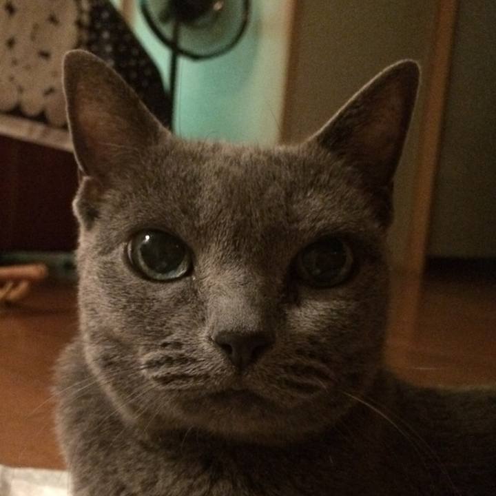 9270da34 0026 49c9 9ab8 3a0fde27f5ac 1535552694785