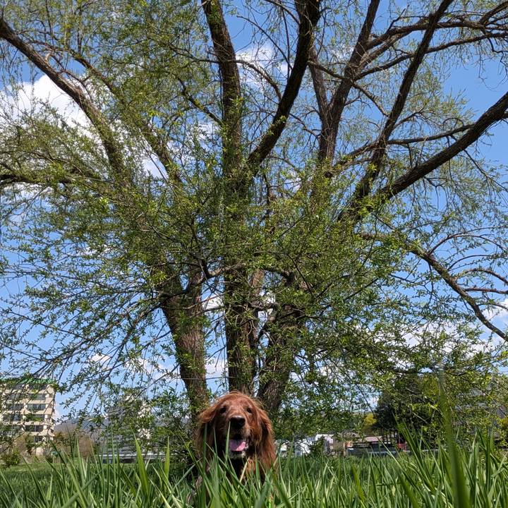 9270e8e6 714c 45c7 b8a4 866e315ae557 1777027871939