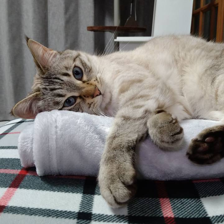 92722bfd 9c99 40cc 9b59 b92ab4623783 1619089796426