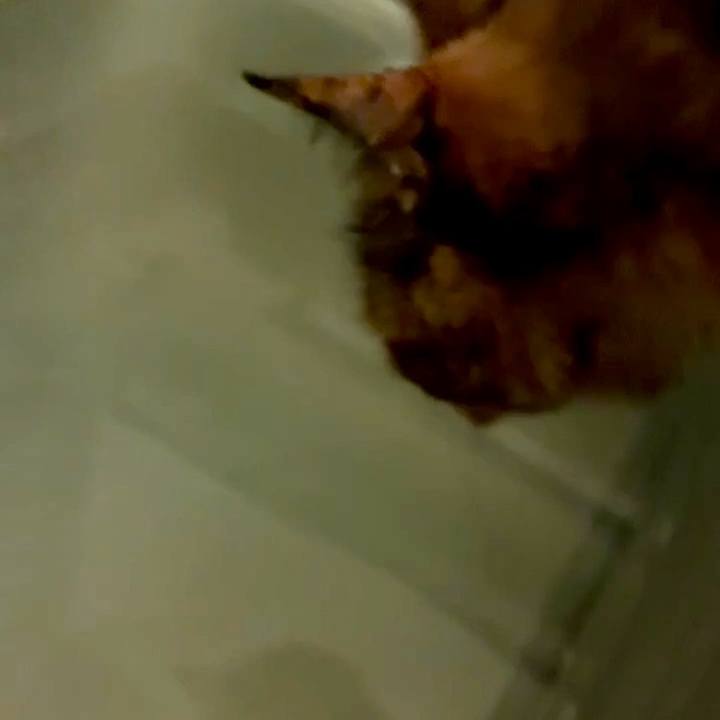 92723d3c b280 4d75 8d21 da9386eacb24 1750626239703