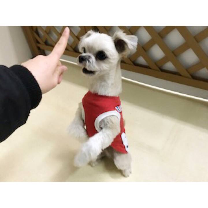 92724b3d 3976 4f8d 8377 9712a05a30bb 1550139818148