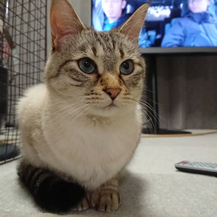 92725ec9 e8b8 4b6b 8897 8aa06b5e28ca 1611058955270