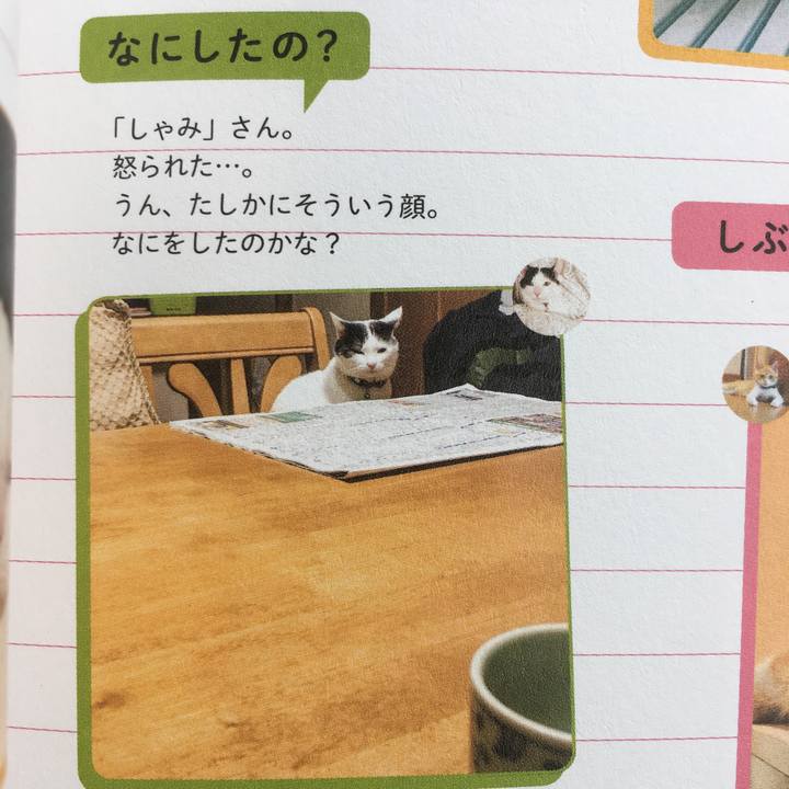 92727d40 bbad 4fed b90a b6d8b3f0fab2 1556692159370