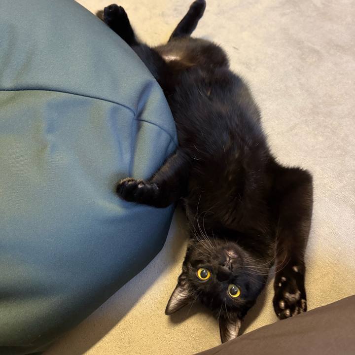 92728bad b250 4aa8 9234 ef5474d6d5ab 1770179451167