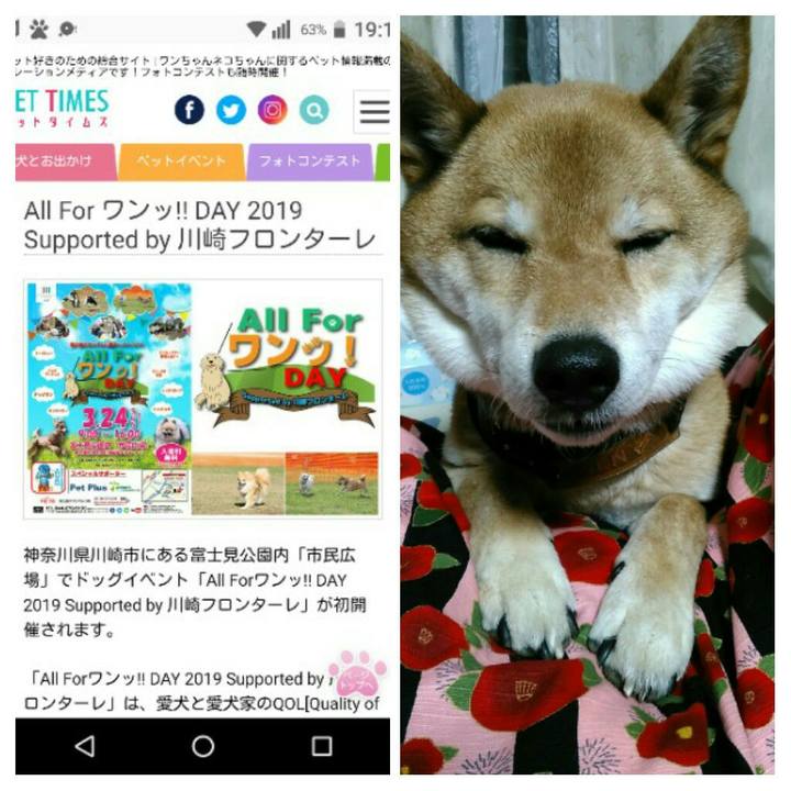 9272b466 8903 4cf3 a99a 2c12a9cb3fa1 1553339186842