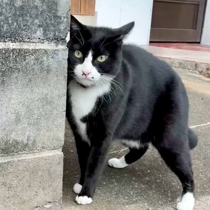 9272b865 e27e 45c4 a58a 0f15e10e2603 1764124267331