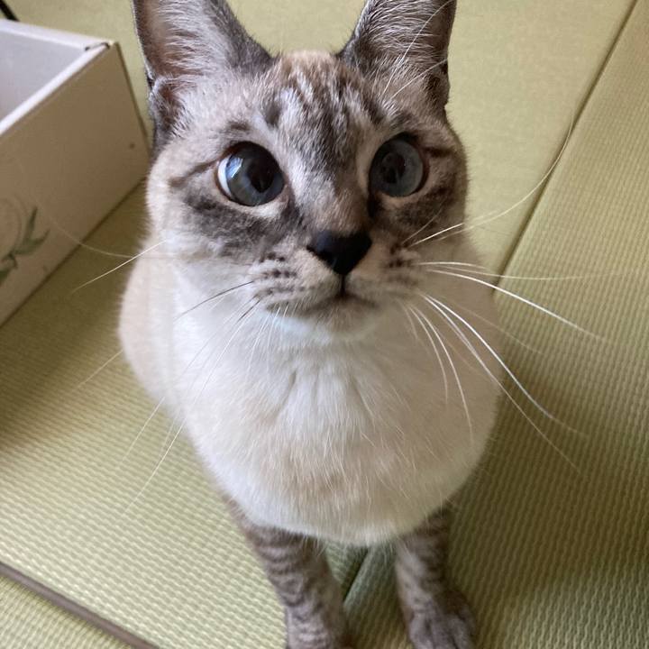 9272bcd8 471e 4a01 9621 b1610b758b15 1606528569991