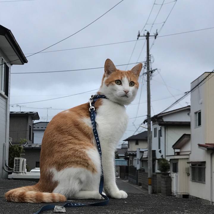 9272dc6f ee3a 4a44 99b7 3e3e280ff047 1528450389004