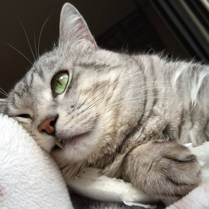 9272e3e6 25e4 4c5f 9b8a 9271dde251af 1578624779484