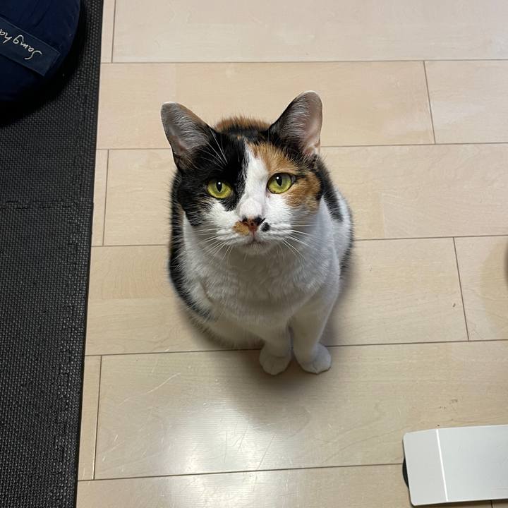 9272e58d c4f4 4240 99e8 8466c5704fd7 1631614935957