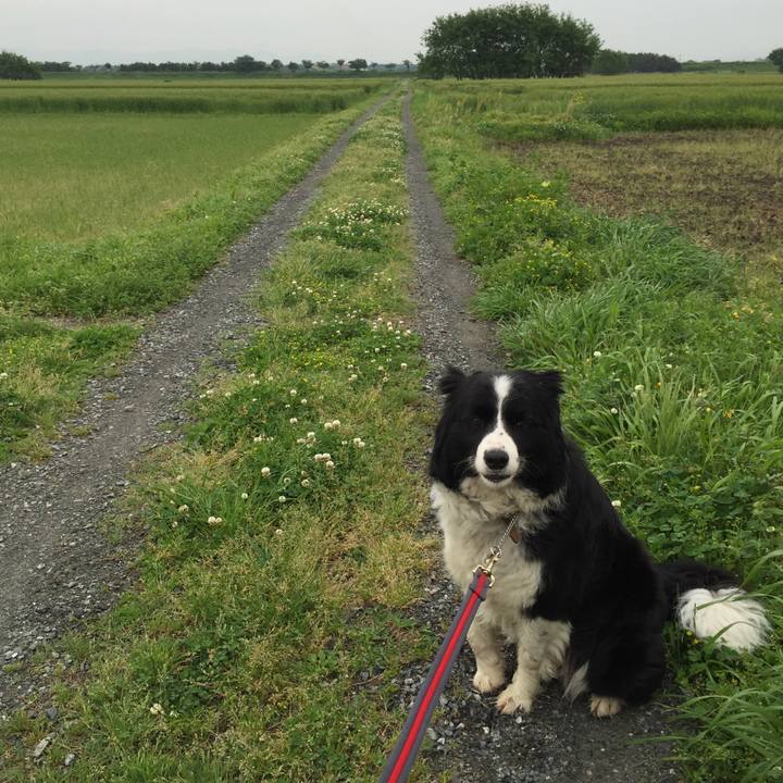 9272f7b2 8f5c 4677 a217 7b1da50fbc11 1524784664695