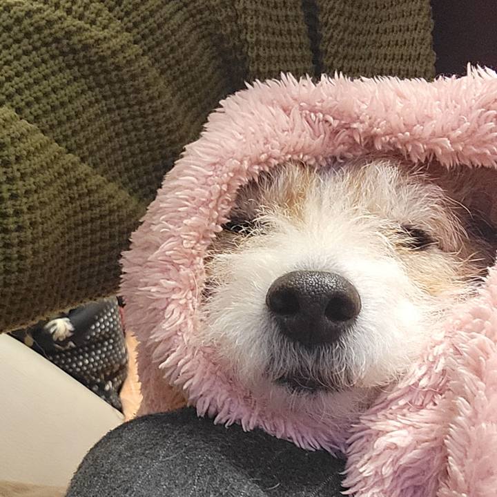 9273729b 3dbf 4ab7 882c 1d69d5a0e5fd 1771330609863