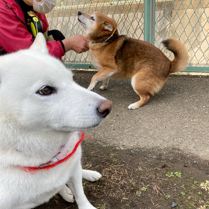 9273aaa0 06ae 4248 8f64 43de6f9a0ebd 1639275004578