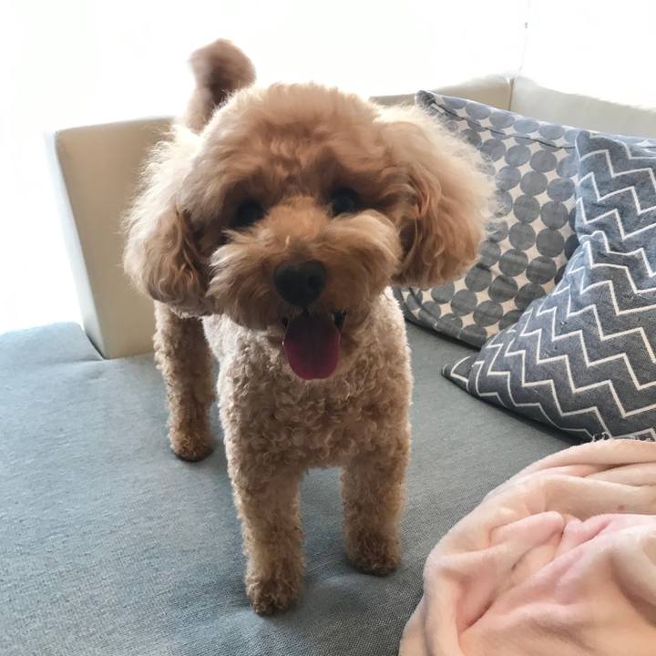 9273df82 6a00 45ba 979c 835cab6a70e6 1557909943890