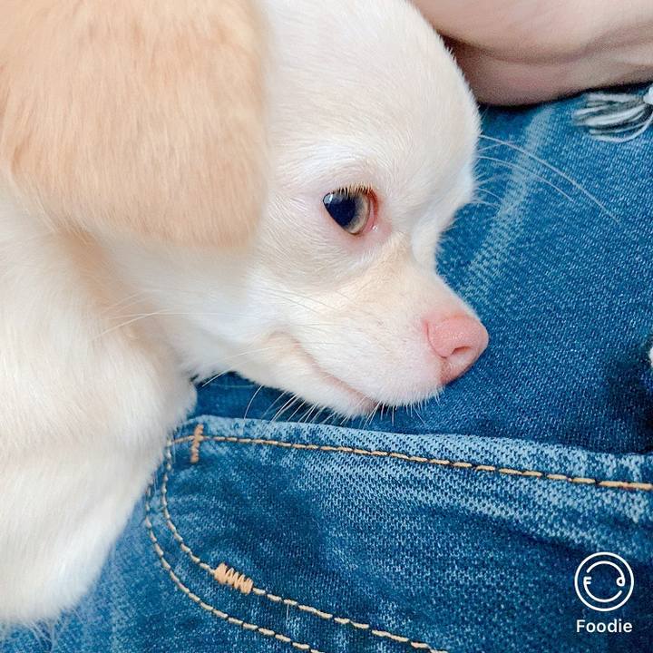 9273f32a 3993 4c27 8840 1867584e304d 1600855721442