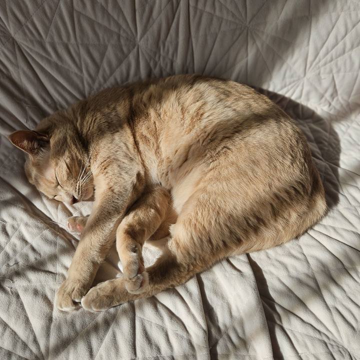 9273fa1f c510 43d2 970d 14b397a27398 1762140911999