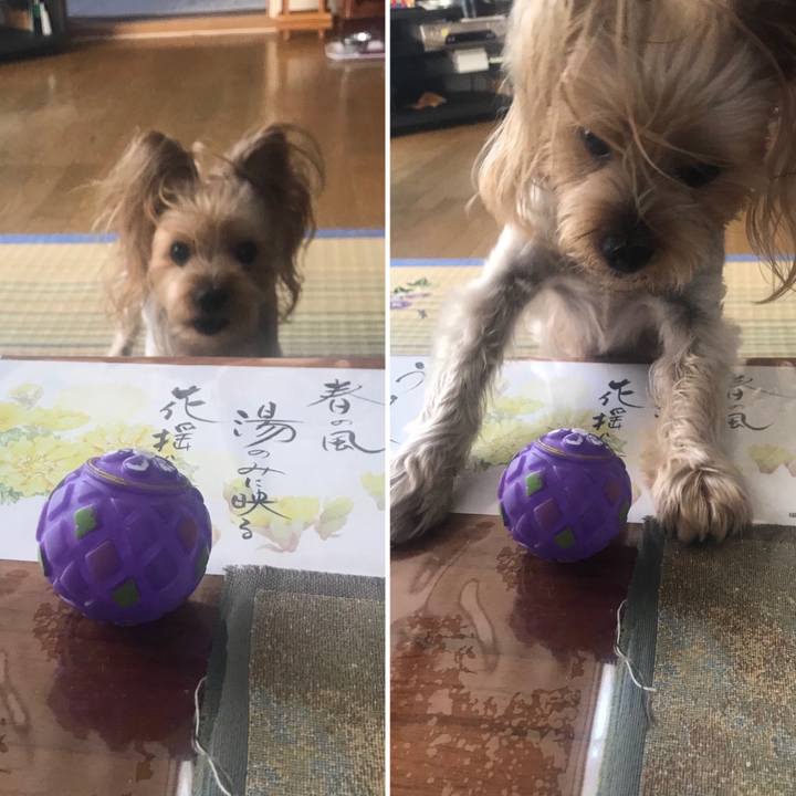 927402e6 3e4f 478c 9dfe a6785a753fae 1566108743524