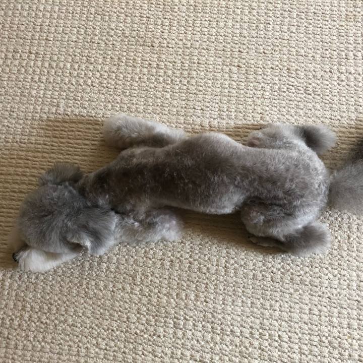 9274487d 2bea 4927 91cf d9282415ead5 1534417492286