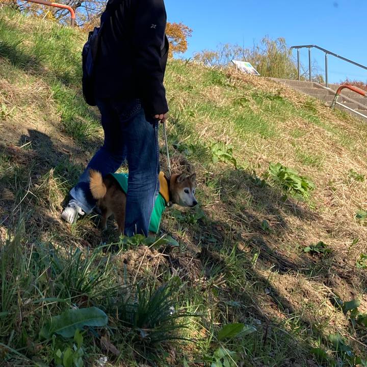 927463c0 dd6b 4b08 a231 d173291bfcf4 1763791228217