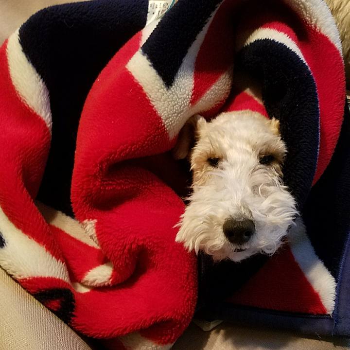 92749a49 f971 422c 9ac9 cc3a23c38eea 1520064339444