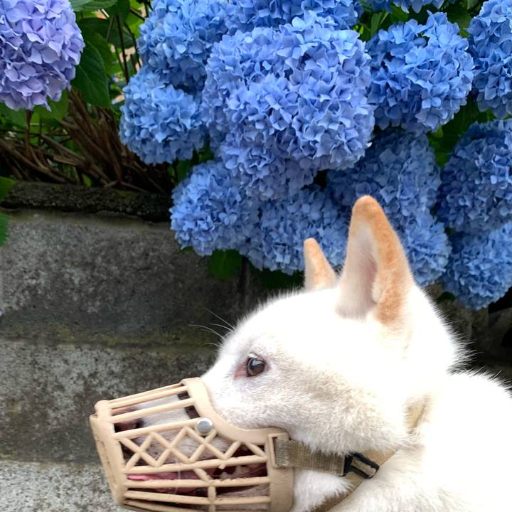 9274d79b 7784 435e 94b8 9855248245ae 1658005221444