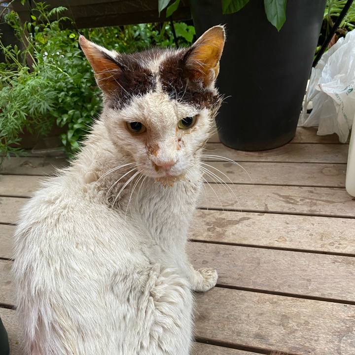 9274df2e df33 4b7f 9554 faa3d94230dc 1748559691852