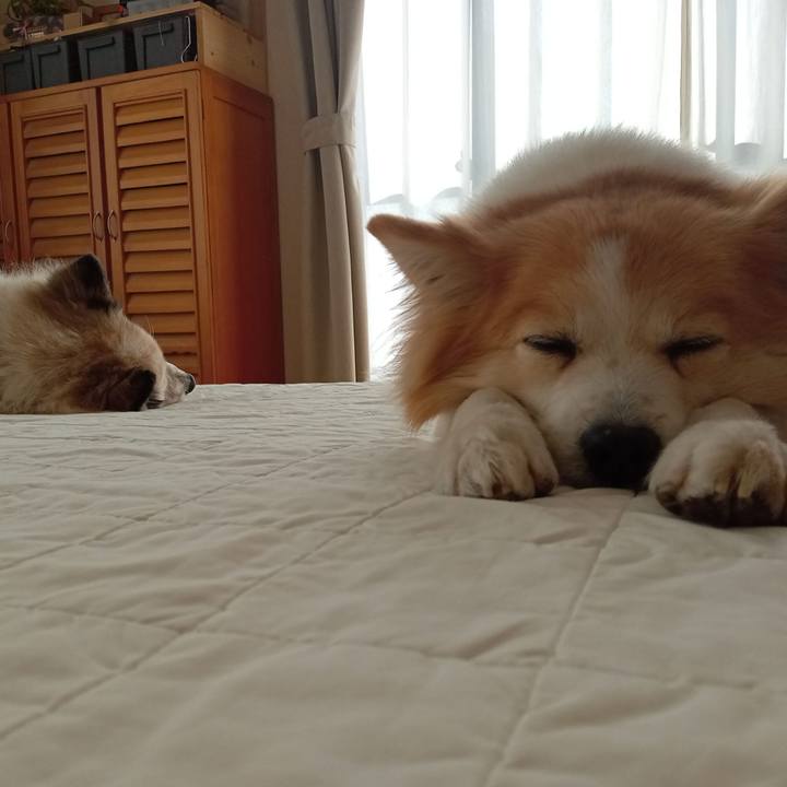 927509b7 3e3f 4dca 9b4e bfa6569f841d 1676803812467