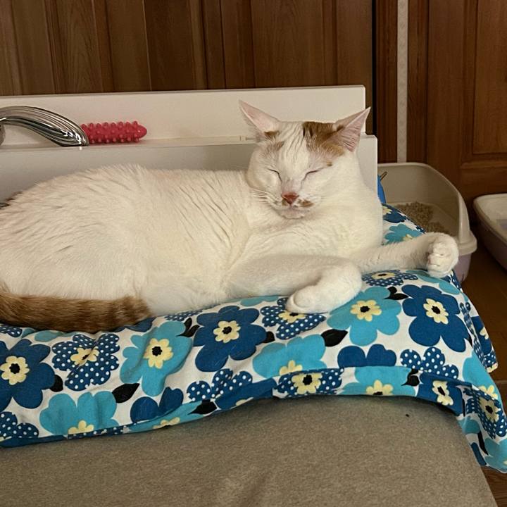 92752ad7 8ded 4960 807a 890f1c9a5dac 1680270335286