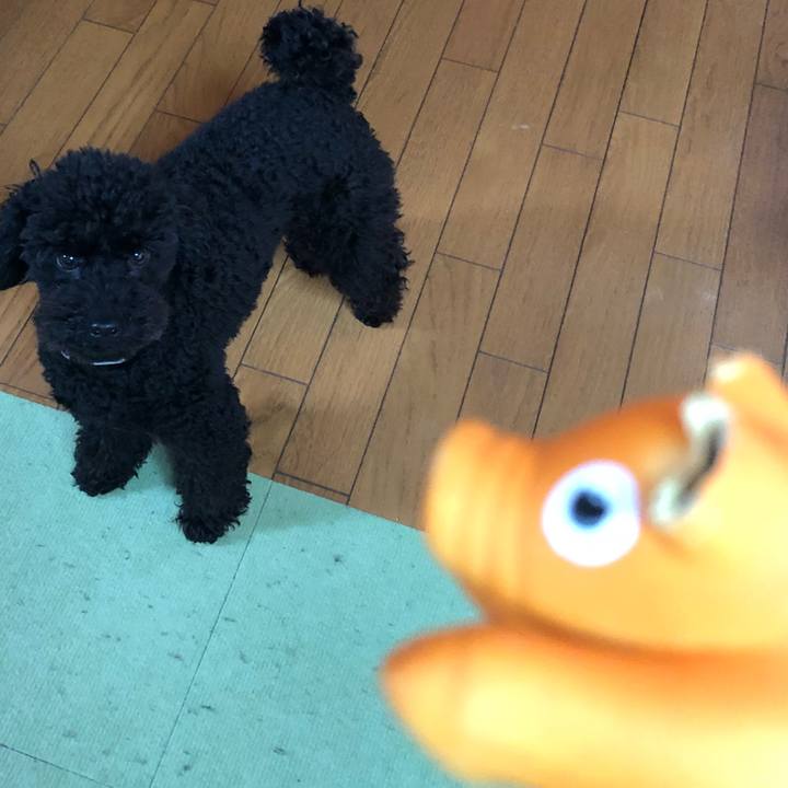 92752faf 9737 4870 8830 17e125af3601 1557663686608