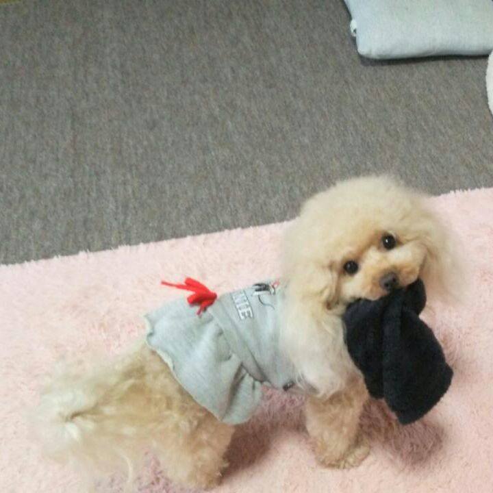 92753254 144c 4ecc a90d 135943edc9a9 1539226816742