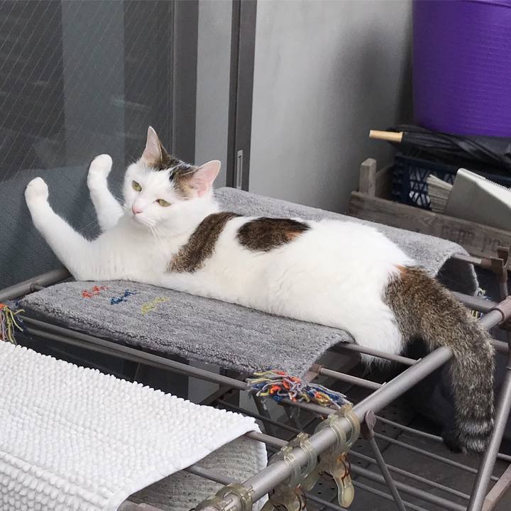 9275388f fc36 4af1 81d7 3b95491b2b24 1563703523367