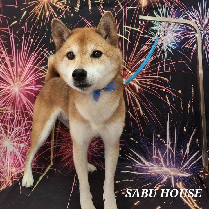 92753947 5778 4f93 a725 b7ecbb967ef8 1723115126738